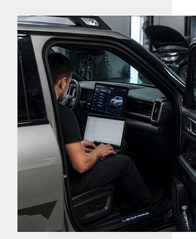 Русификация BYD Leopard 3 в Вологде по цене от 20441 р. | ФастМобиль-Вгд